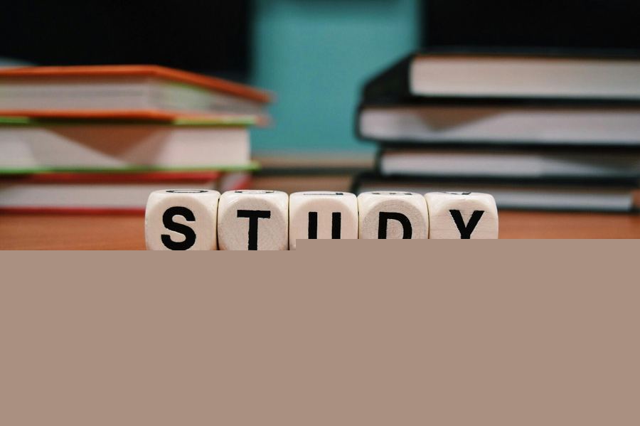 Student guided through the study-abroad process